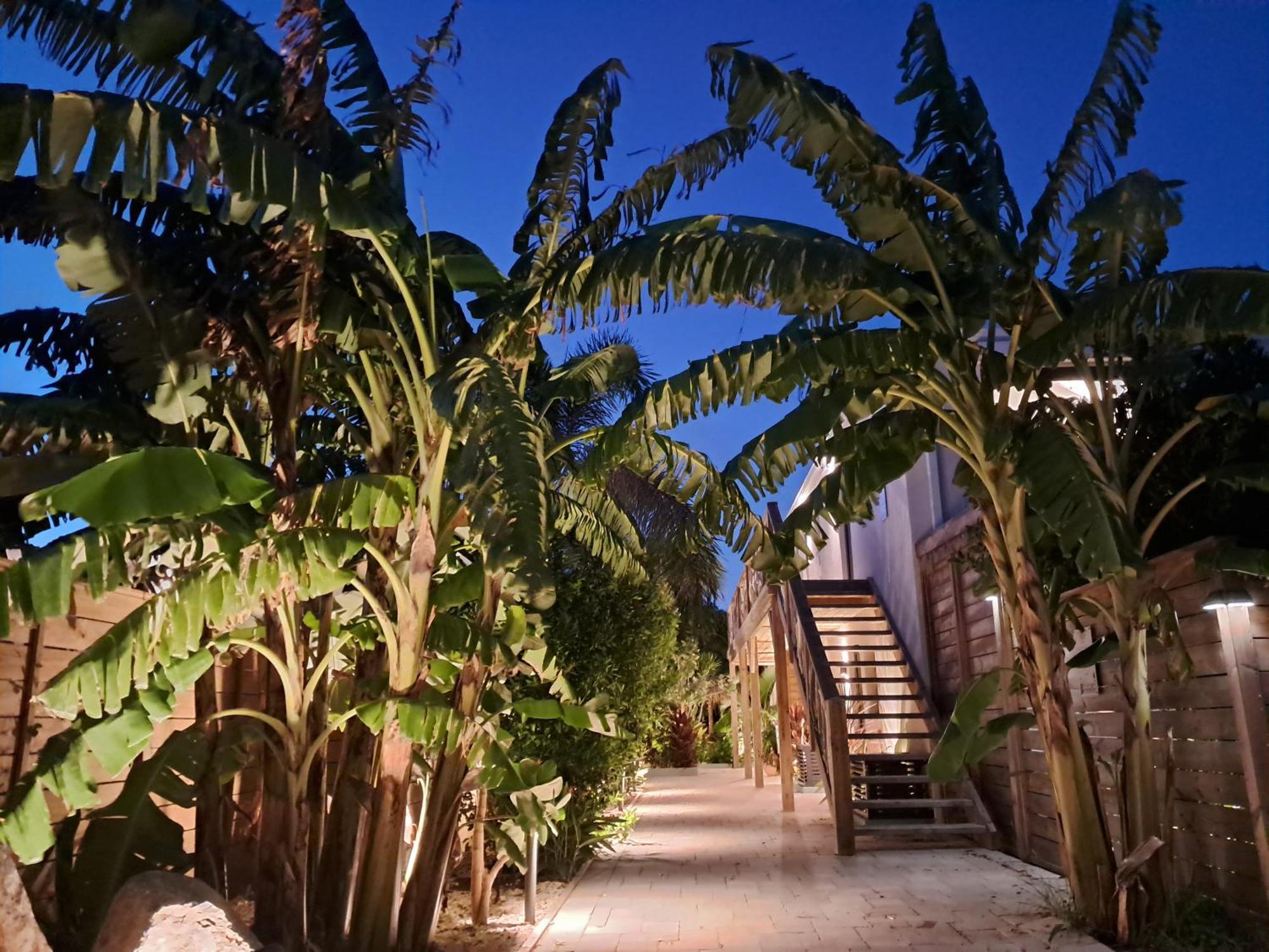 The Forest - Saint Martin 4 Etoiles Cul de Sac Exterior photo